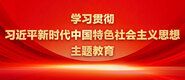 操进去舔阴道舔脚黄色网站学习贯彻习近平新时代中国特色社会主义思想主题教育_fororder_ad-371X160(2)